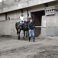 Dsc_0093_copy_1600x900
