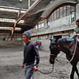 Dsc_0098_copy_2000x1125