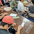 Dsc_0113_copy_2000x1125