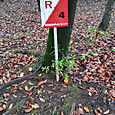 Dsc_0195_copy_1125x2000