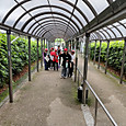 Dsc_0200_copy_2000x1125