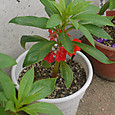 P1570869