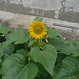 P1570926