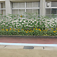 P1580030