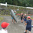 P1580374
