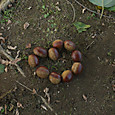 P15804512