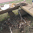 P1580460