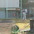 P1580481