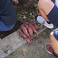 P1580680