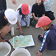 P1580807