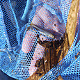 P1580865
