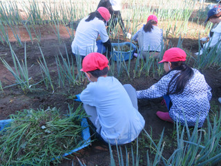 Photo_6