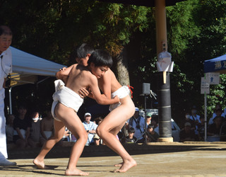 Dsc_0092