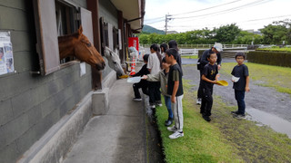 Dsc_0090_copy_2000x1125_1