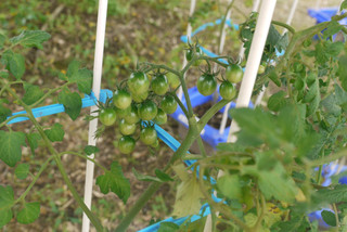 P1570871