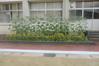 P1580030