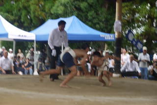 P1580600 P1580600